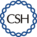 csh - logo